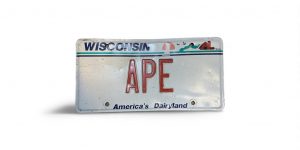 1989 WISCONSIN VANITY LICENSE PLATE APE