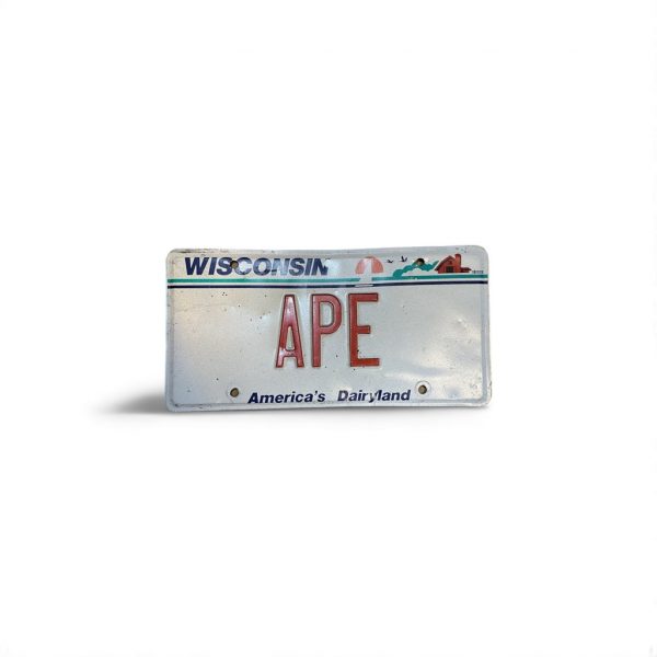 1989 WISCONSIN VANITY LICENSE PLATE APE