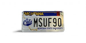 2002 MONTANA LICENSE PLATE MONTANA STATE UNIVERSITY MSUF 90