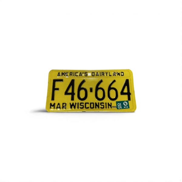 1981 LICENSE PLATE F 46 664 AMERICAS DAIRYLAND