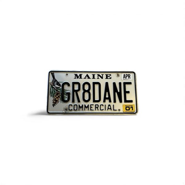 2001 MAINE LICENSE PLATE VANITY GR8DANE GREAT DANE DOG COMMERCIAL