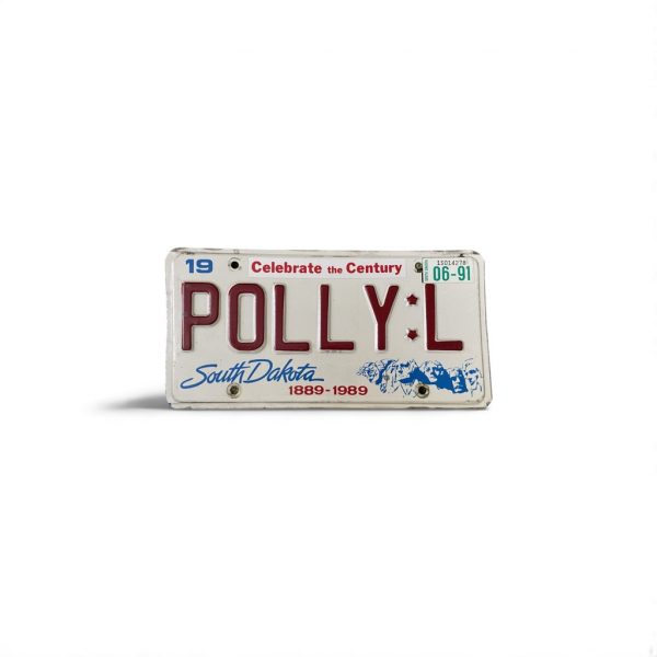 1991 SOUTH DAKOTA LICENSE PLATE VANITY POLLY L