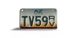 ARIZONA RV TV59 LICENSE PLATE