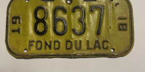 1981 WISCONSIN FOND DU LAC BICYCLE BIKE LICENSE PLATE 8637