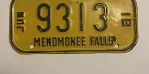 1981 JUNE WISCONSIN MENOMINEE FALLS BICYCLE BIKE LICENSE PLATE 9313