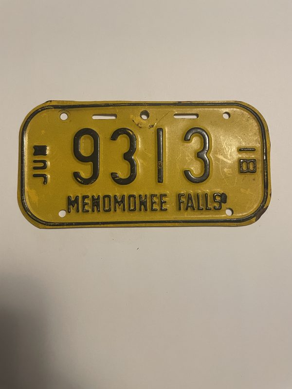 1981 JUNE WISCONSIN MENOMINEE FALLS BICYCLE BIKE LICENSE PLATE 9313
